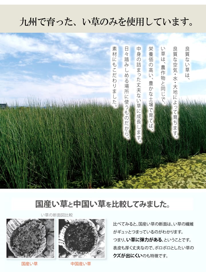 玄関マット Fカラフルブロック BL 70X120 70×120cm ラグマット カーペット ラグ