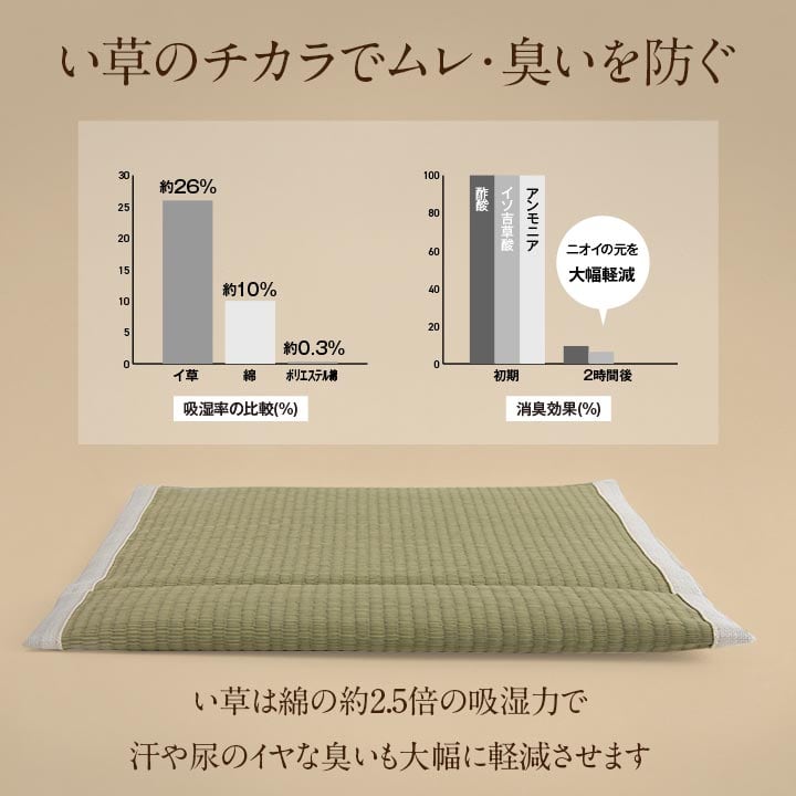 クッション 洗えるい草シート 40×40cm 通気性 クッション・座布団