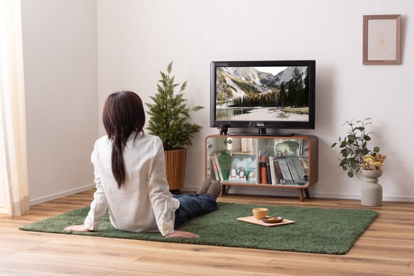 ストレージ コレクションシェルフ ロータイプ 幅79.5×奥行25×高さ46cm リビング収納 2段
