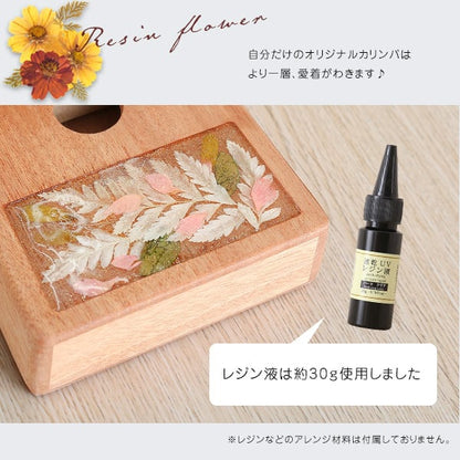 指で弾くピアノ カリンバ初心者セット ハンドメイドタイプ 17キー 穴有 SH-06-KKD17