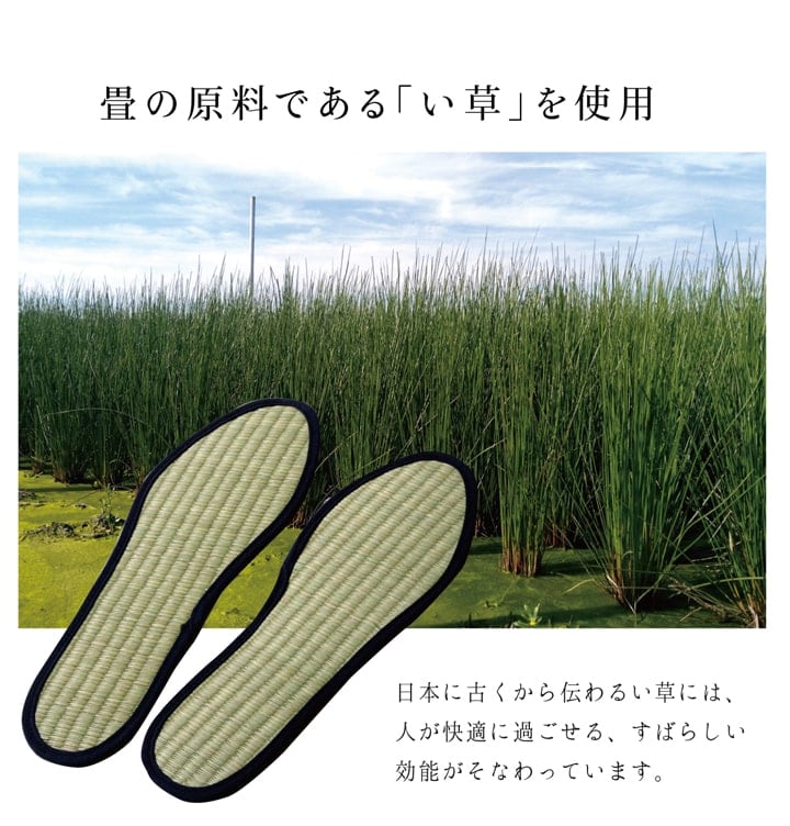い草インソール色無 30cm NV 30 ラグマット カーペット ラグ 絨毯 消臭 インソール
