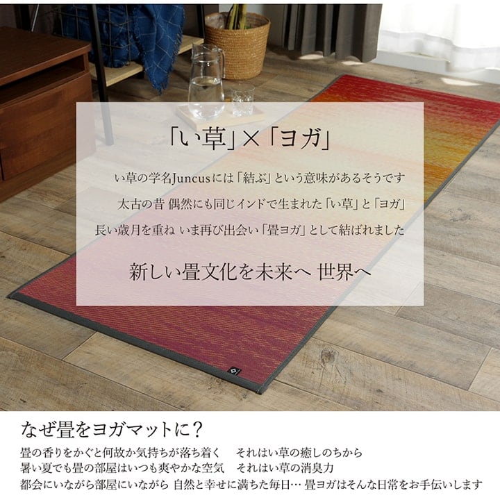 skysea ヨガマット BL 66X185 66×185cm ラグマット カーペット ラグ 絨毯