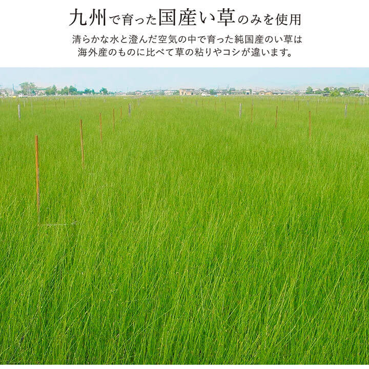 Fソリッド ミニラグ DBR 140X200 140×200cm ラグマット カーペット ラグ 絨毯