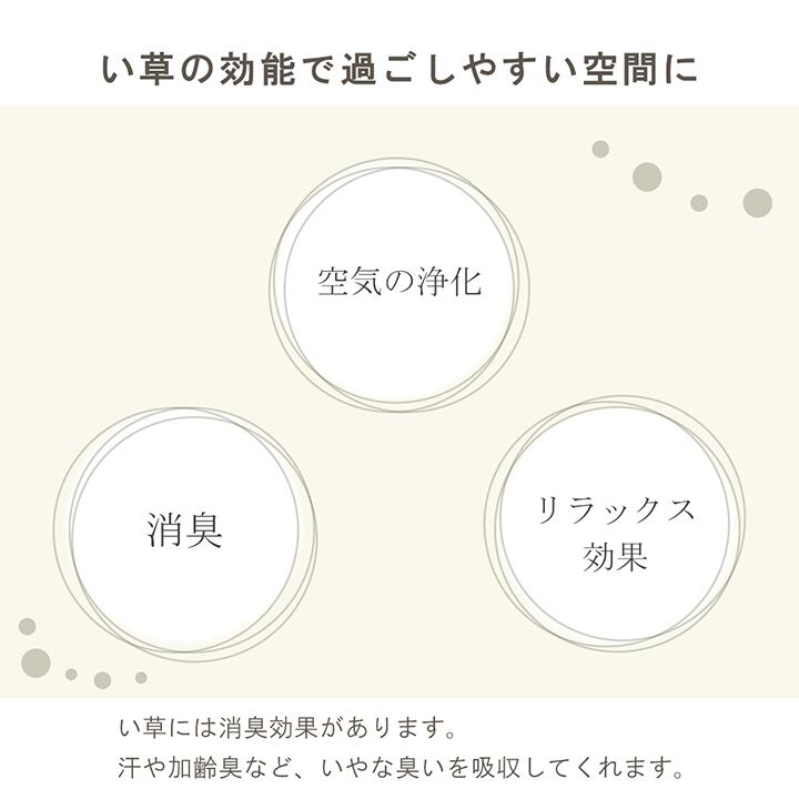 置物 みらいフレグラス 50X60 60cm フェイクグリーン オブジェ 生活雑貨