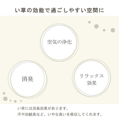 置物 みらいフレグラス 50X60 60cm フェイクグリーン オブジェ 生活雑貨