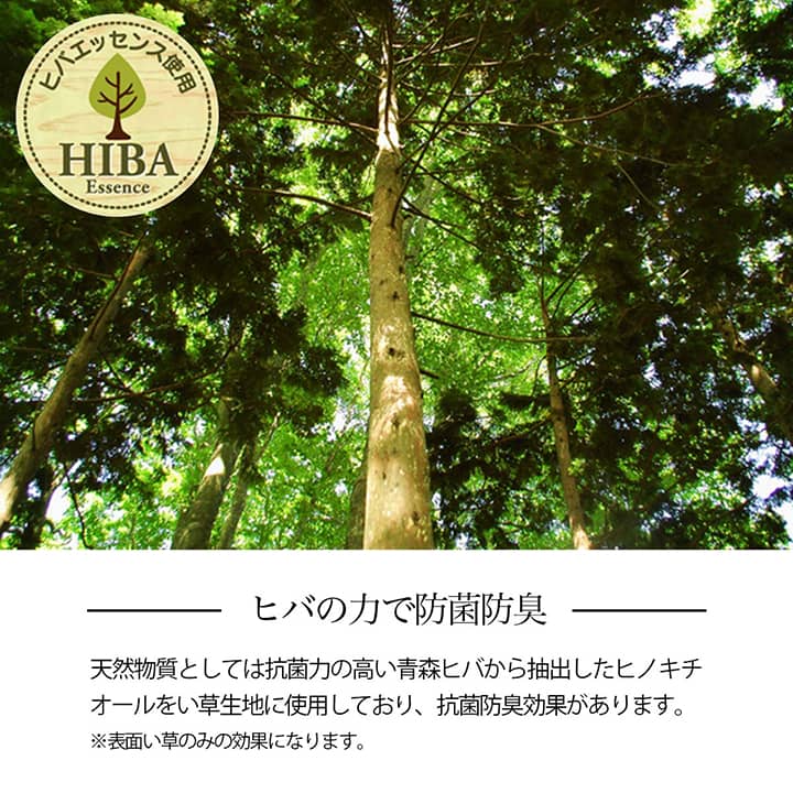 花ござ *NDXルネ 本間2畳 BL 191X191 191×191cm ラグマット カーペット