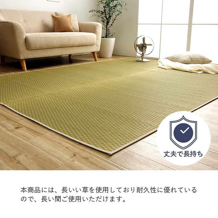 ラグ プレーン 大判長方形 191X300 191×300cm ラグマット カーペット 絨毯 日本製