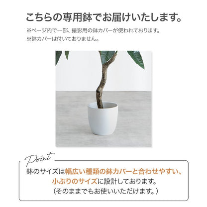 フェイクグリーン・オブジェ 高さ130cm Nature 光触媒人工観葉植物