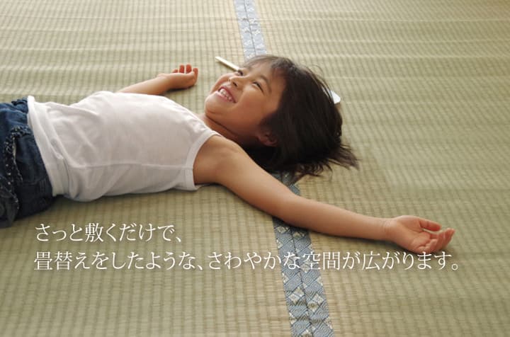 い草ラグ 湯沢 団地間4.5畳 255X255 255×255cm ラグマット カーペット ラグ