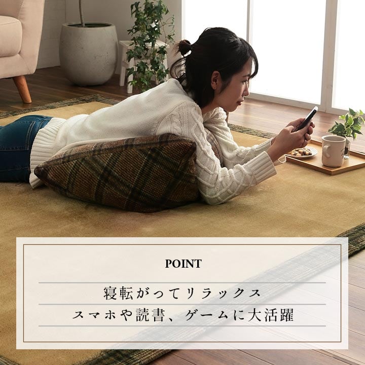 よりかかり カリス 寄りかかり BR 40X50 50×40×30cm 日用品 クッション