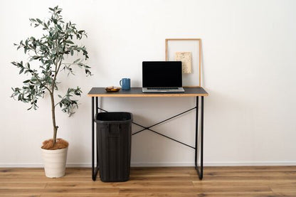 ダストボックス ペールカン60L 幅36×奥行55.4×高さ62.2cm 完成品 スチール