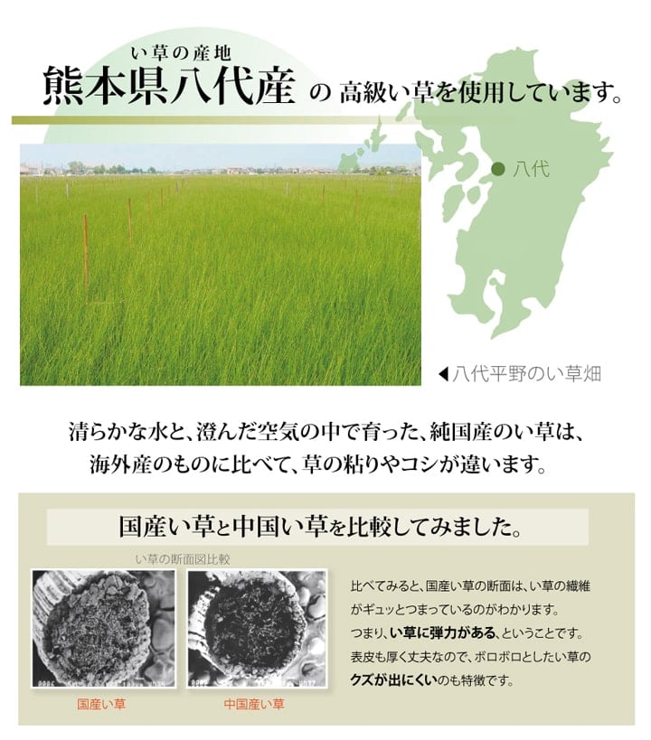 い草ラグ 清正 ヒバ 本間10畳 478X382 477×382cm ラグマット カーペット ラグ