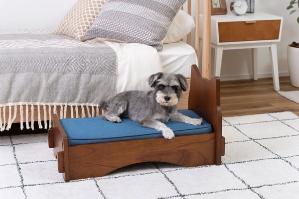 ペットベッド 幅40×奥行75×高さ40cm ベッド すのこベッド パイプベッド ベット ブラウン