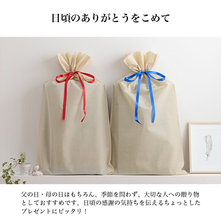 マットレス すずか 私の場所+平枕 フリーマット GN 70×150cm ベッドマットレス 敷布団