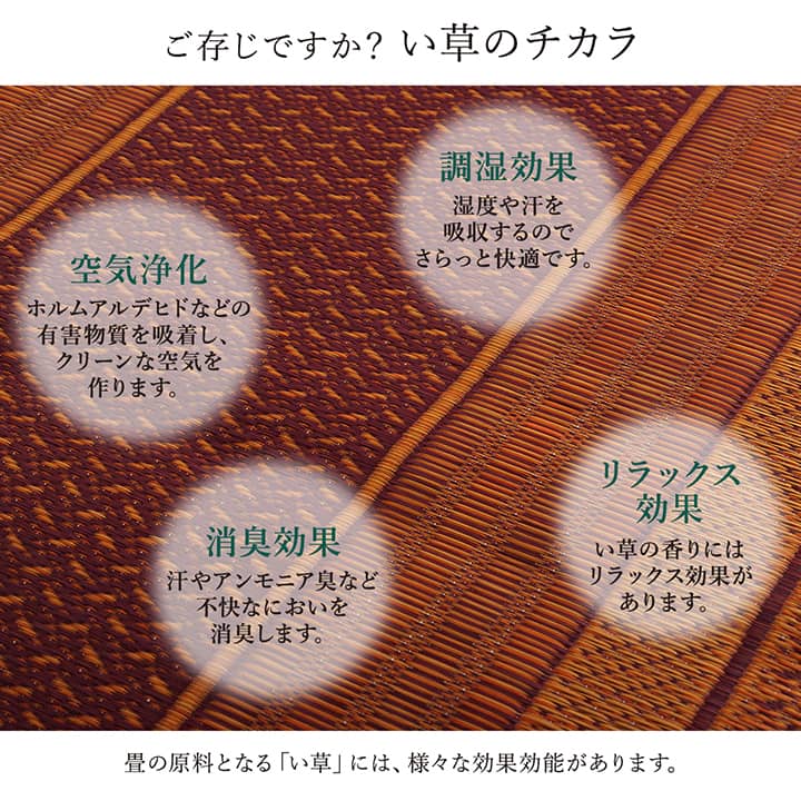廊下敷 DXランクス BE 80X340 80×340cm ラグマット カーペット ラグ 絨毯