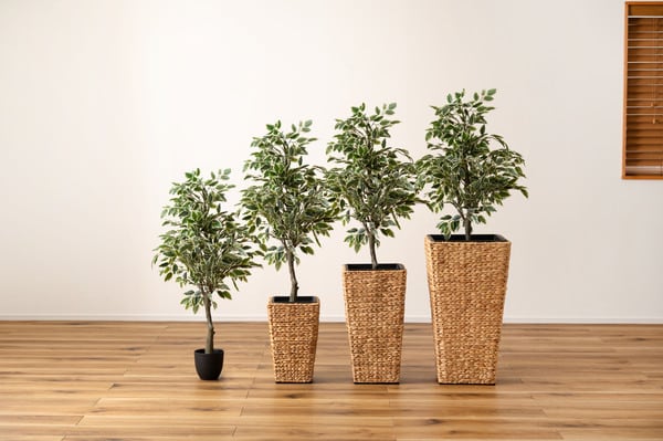 グリーン プランター角ハイタイプ 幅23×奥行23×高さ37cm 日用品 ハイタイプ 完成品 鉢入れ