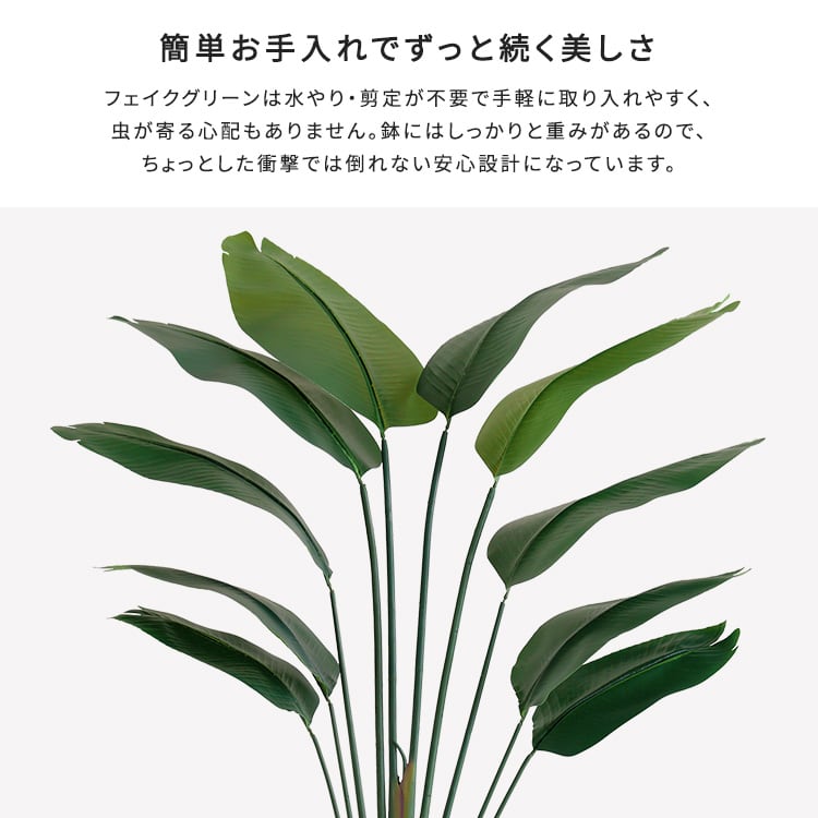 お手入れ簡単フェイクグリーン ストレリチア Sサイズ(120cm) フェイクグリーン 人工観葉植物