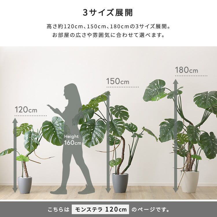 お手入れ簡単フェイクグリーン モンステラ Sサイズ(120cm)