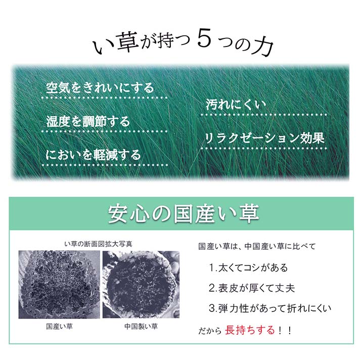 ラグ Fサークル 普通版長方形 GY 191X250 191×250cm ラグマット カーペット