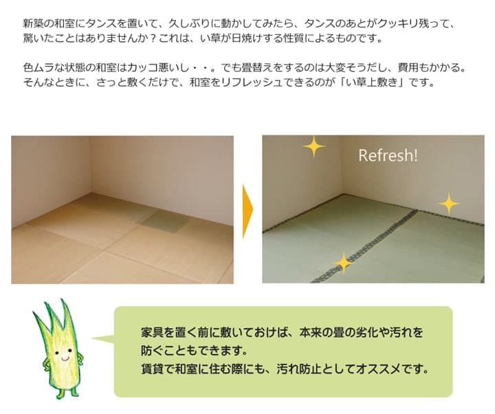 い草ラグ 松 団地間4.5畳 255X255 255×255cm ラグマット カーペット ラグ 絨毯