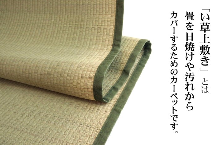い草ラグ 草津 本間6畳 286X382 286×382cm ラグマット カーペット ラグ 絨毯