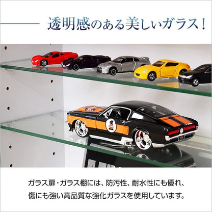 コレクションラック 浅型ハイタイプ セット(本体+上置き) コレクションケース 壁面収納 収納棚