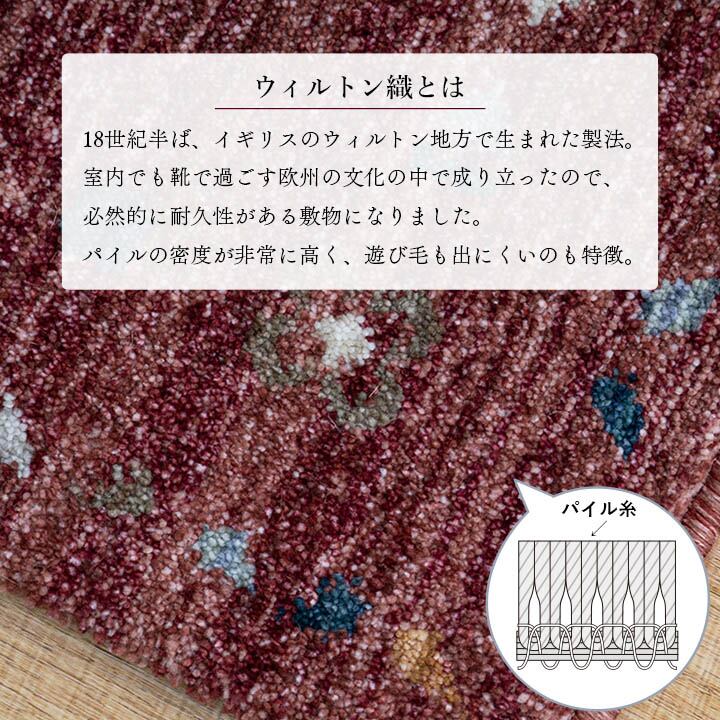玄関マット マイアNA NA 60X90 60×90cm ラグマット カーペット ラグ 絨毯 マット