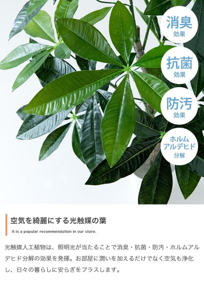 フェイクグリーン・オブジェ 高さ130cm Nature 光触媒人工観葉植物