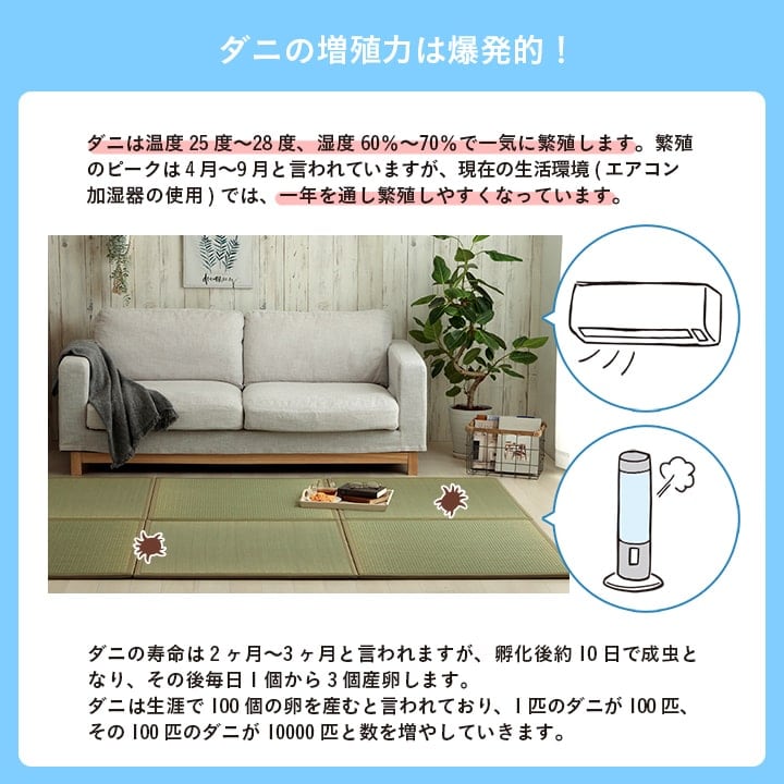 置き畳 滅ダニ 6P 半畳 82X82 82×82×1.8cm ラグマット カーペット ラグ 絨毯