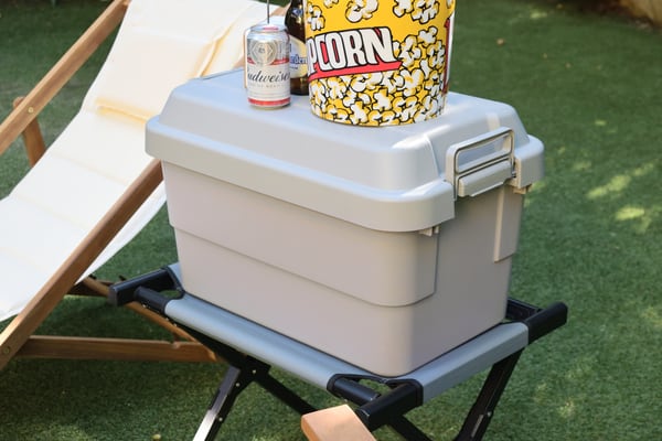 ストレージ トランクカーゴ 50L 幅60×奥行39×高さ37cm リビング収納 完成品 組立不要