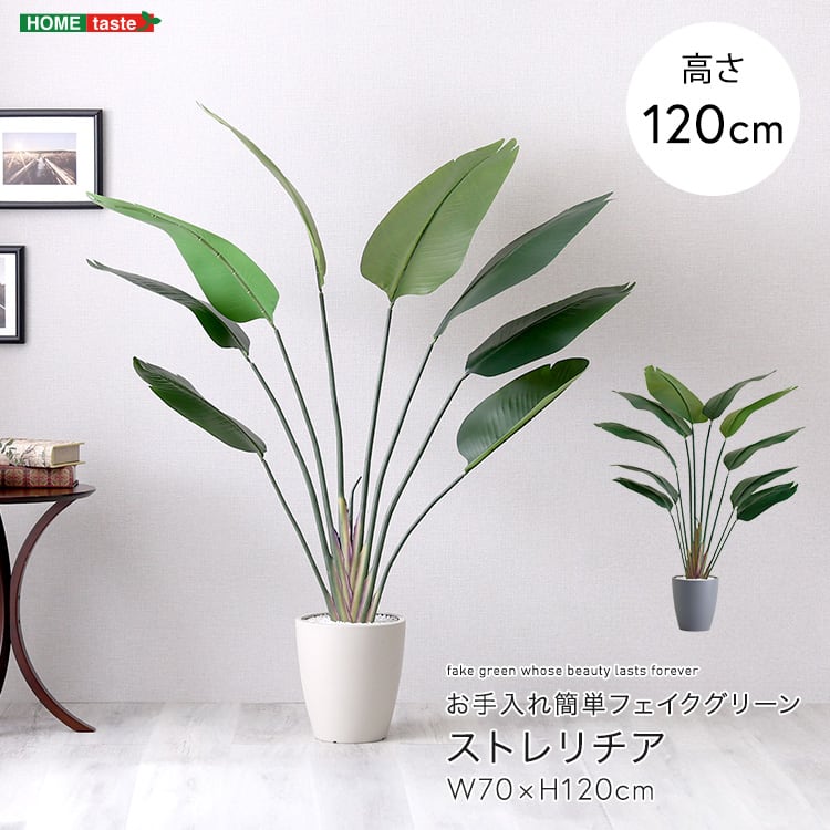 お手入れ簡単フェイクグリーン ストレリチア Sサイズ(120cm) フェイクグリーン 人工観葉植物