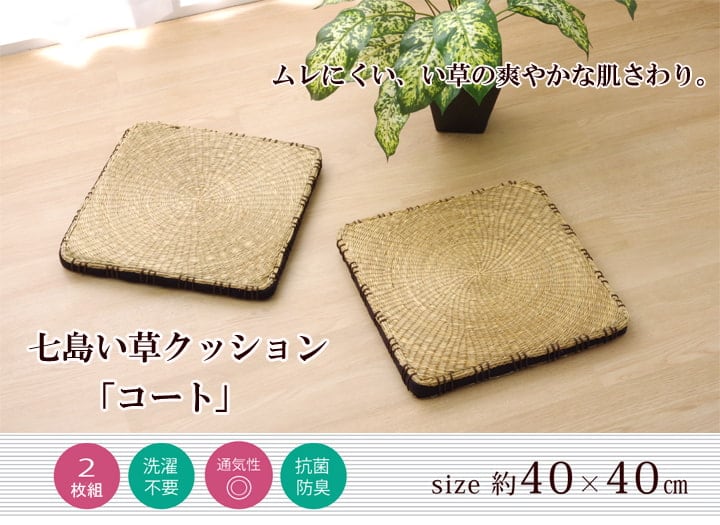 クッション コート シート 2P BR 40X40 40×40cm 日用品 クッション・座布団 二酸