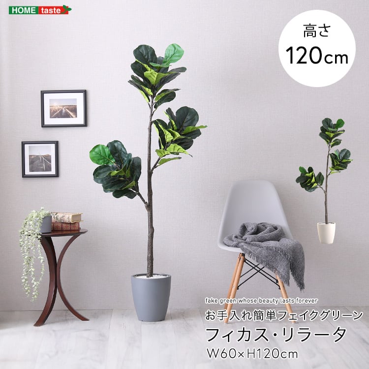 お手入れ簡単フェイクグリーン フィカス・リラータ Sサイズ(120cm) フェイクグリーン 観葉植物