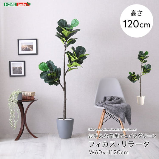 お手入れ簡単フェイクグリーン フィカス・リラータ Sサイズ(120cm) フェイクグリーン 観葉植物