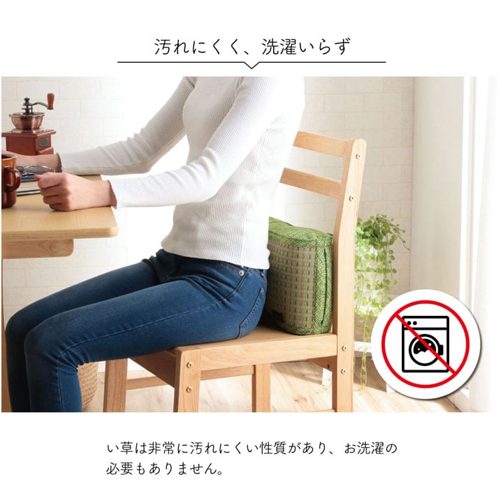 腰当 クリア フィット BL 20X38 38×20cm 日用品 抗菌 ブルー グリーン クッション
