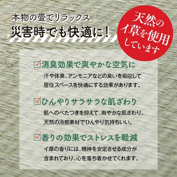 ベッド 防災 セット 100X200 100×200cm すのこベッド パイプベッド ベット 寝具
