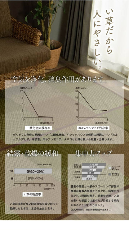 花ござ *DXピーア 団地間8畳 BL 340X340 340×340cm ラグマット カーペット