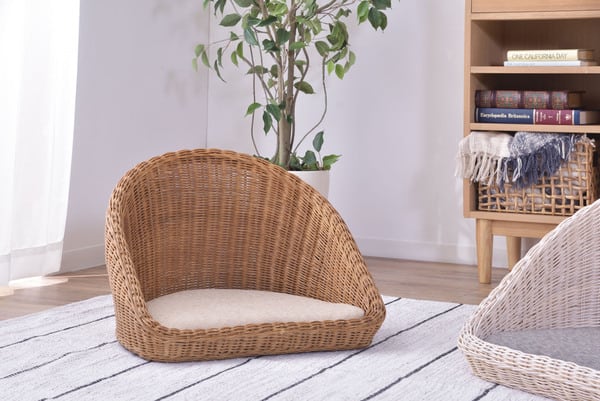 ラタン フロアチェア 幅53×奥行49×高さ38cm チェア ダイニングチェア デザインチェア
