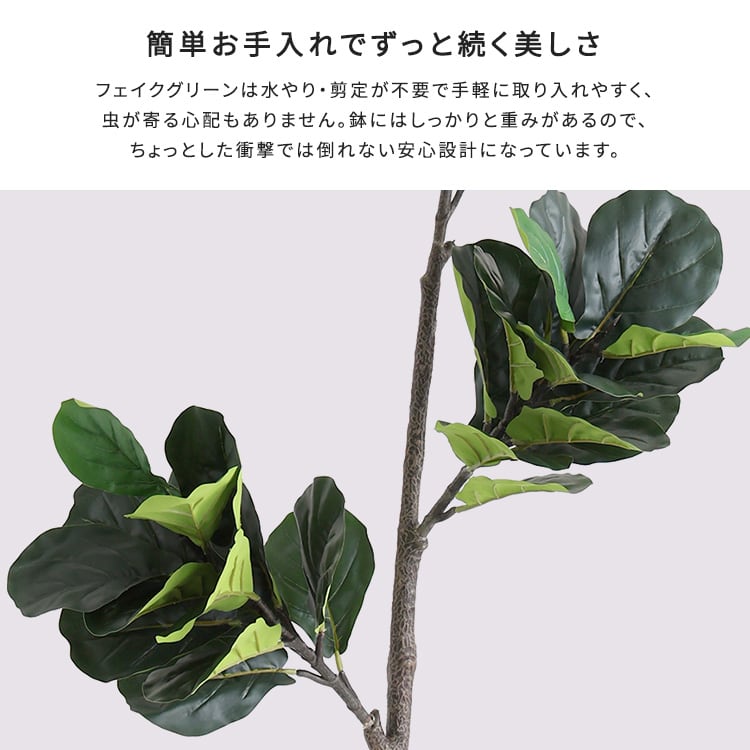 お手入れ簡単フェイクグリーン フィカス・リラータ Sサイズ(120cm) フェイクグリーン 観葉植物