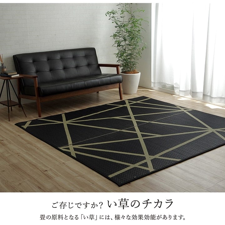 ラグ Fレヴィン 普通版長方形 BK 191X250 191×250cm ラグマット カーペット
