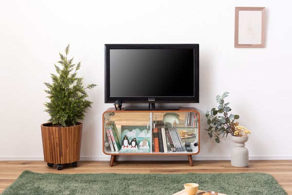 ストレージ コレクションシェルフ ロータイプ 幅79.5×奥行25×高さ46cm リビング収納 2段