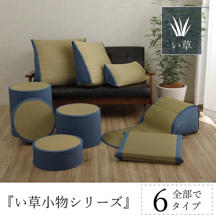 クッション 寛ぎ 寄りかかり BL 50X60 60×50×H20cm 日用品 消臭 湿度を整える