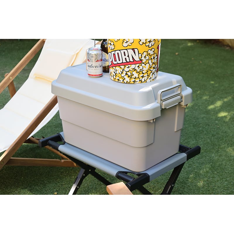 ストレージ トランクカーゴ 50L 幅60×奥行39×高さ37cm リビング収納 完成品