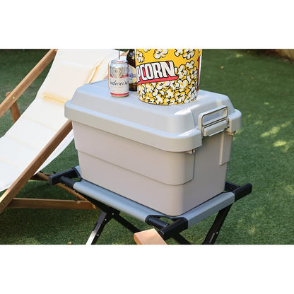 ストレージ トランクカーゴ 50L 幅60×奥行39×高さ37cm リビング収納 完成品