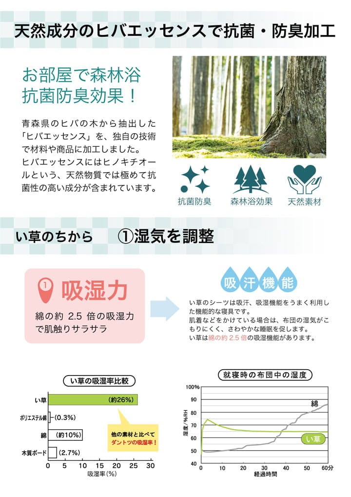 ラグ 撥水ラスタ 大判長方形 BL 190X300 190×300cm ラグマット カーペット 絨毯