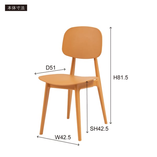 ダイニングチェア オーディナリー チェア 幅42.5×奥行51×高さ81.5cm ダイニング家具