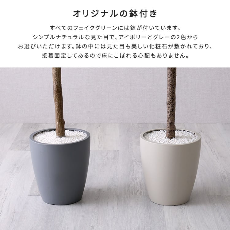 お手入れ簡単フェイクグリーン フィカス・リラータ Lサイズ(180cm) フェイクグリーン 観葉植物