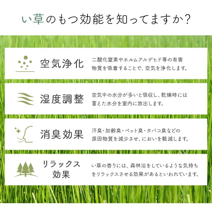 玄関マット Fネム BE 60X90 60×90cm ラグマット カーペット ラグ 絨毯 マット