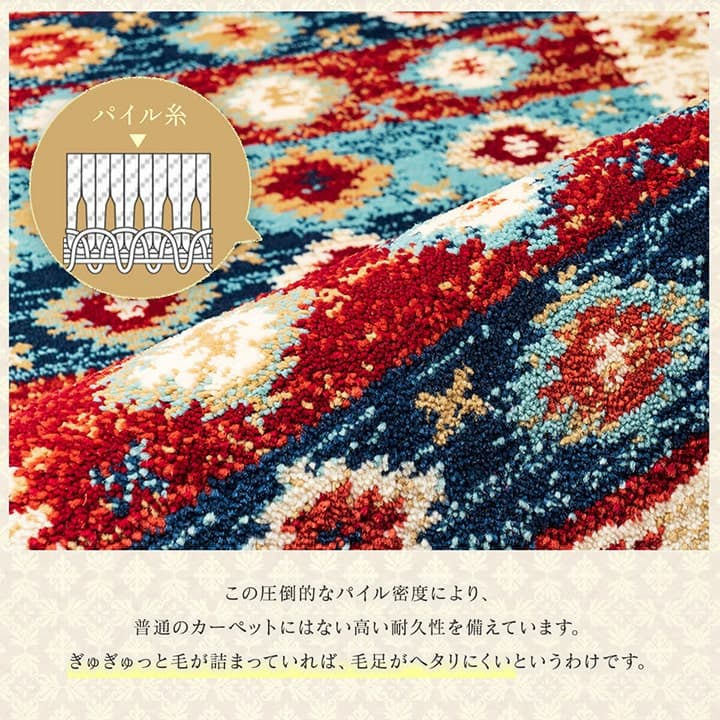 玄関マット プルメリ NV 50X80 50×80cm ラグマット カーペット ラグ 絨毯 マット