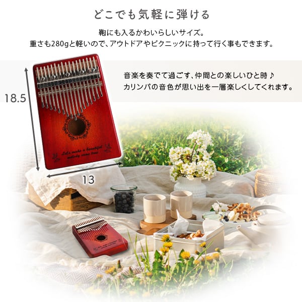指で弾くピアノ カリンバ初心者セット 絵柄付きタイプ ハードケースつき カリンバ 親指ピアノ 楽器